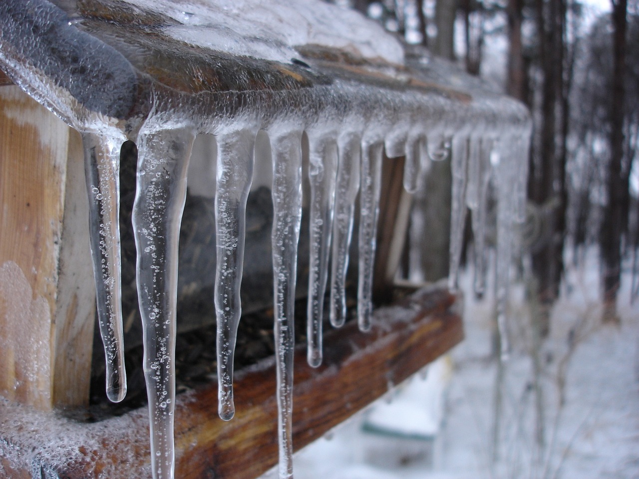 Sople lodu zwisające z dachu - jako obraz 1 tygodnia stycznia